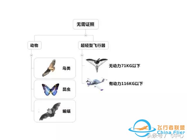 簡單易懂的適航知識 飛行小白看過來-7922