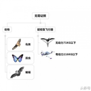 簡單易懂的適航知識 飛行小白看過來