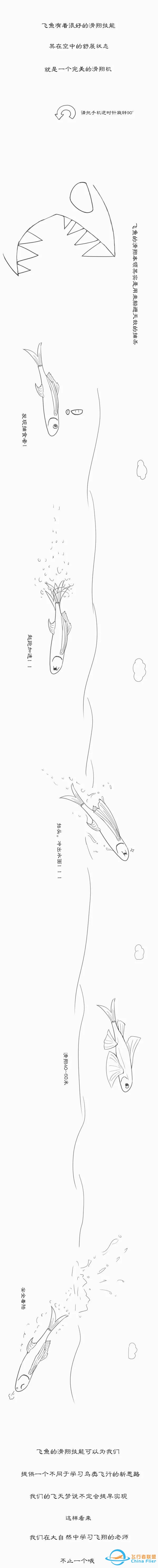 用漫畫講航空，那些年我們一起學習鳥類飛行的日子……-4227