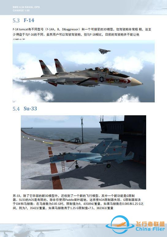 模擬飛行 BMS 中文手冊 海上行動 5.2自動油門-6933